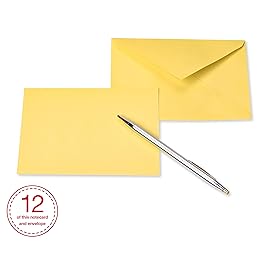 American Greetings Single Panel Blank Cards Bulk with Envelopes, Pastel Colors (100-Count)