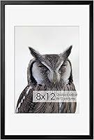 Vista 451 de Fun Memories Portarretratos de metal de 16 x 20 pulgadas con paspartú de 11 x 14 pulgadas, acabado de aluminio cepillado, parte delantera de vidrio