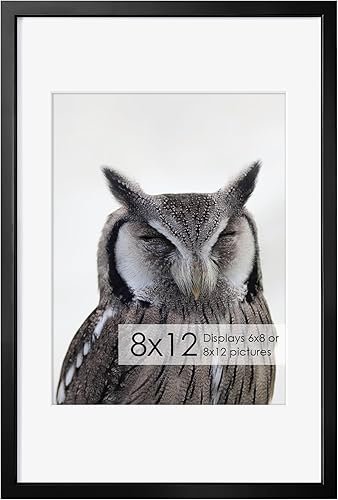 Miniatura 451 de Fun Memories Portarretratos de metal de 16 x 20 pulgadas con paspartú de 11 x 14 pulgadas, acabado de aluminio cepillado, parte delantera de vidrio