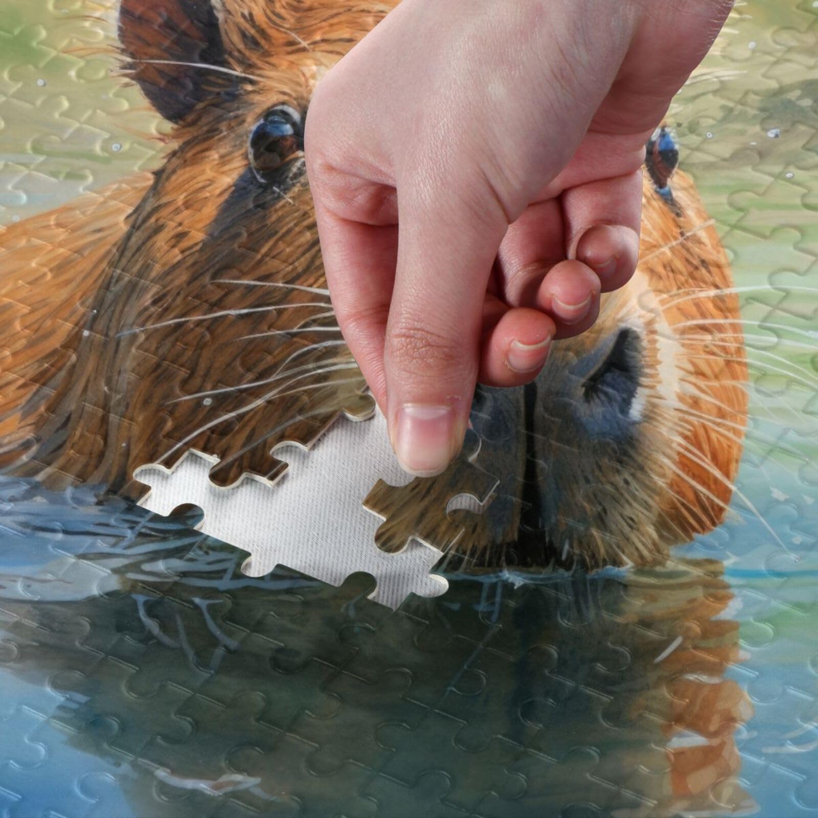 Amazon.com: ZENWAWA Jigsaw Puzzle Swimming Capybara 1000 Pieces