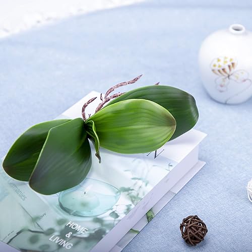 Vista 4 de Fnize hojas de orquídea artificiales Phalaenopsis tallos hoja de imitación Cymbidium flor follaje verde real táctil látex a granel 8 pulgadas 2pcs