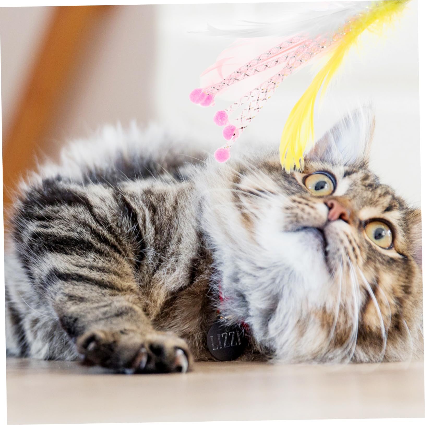 Supvox 32stücke Teiliges -Spielzeug Für Katzen Interaktive Katzenangel Mit Geräuschen Für Und Spaß Für Drinnen Und Draußen