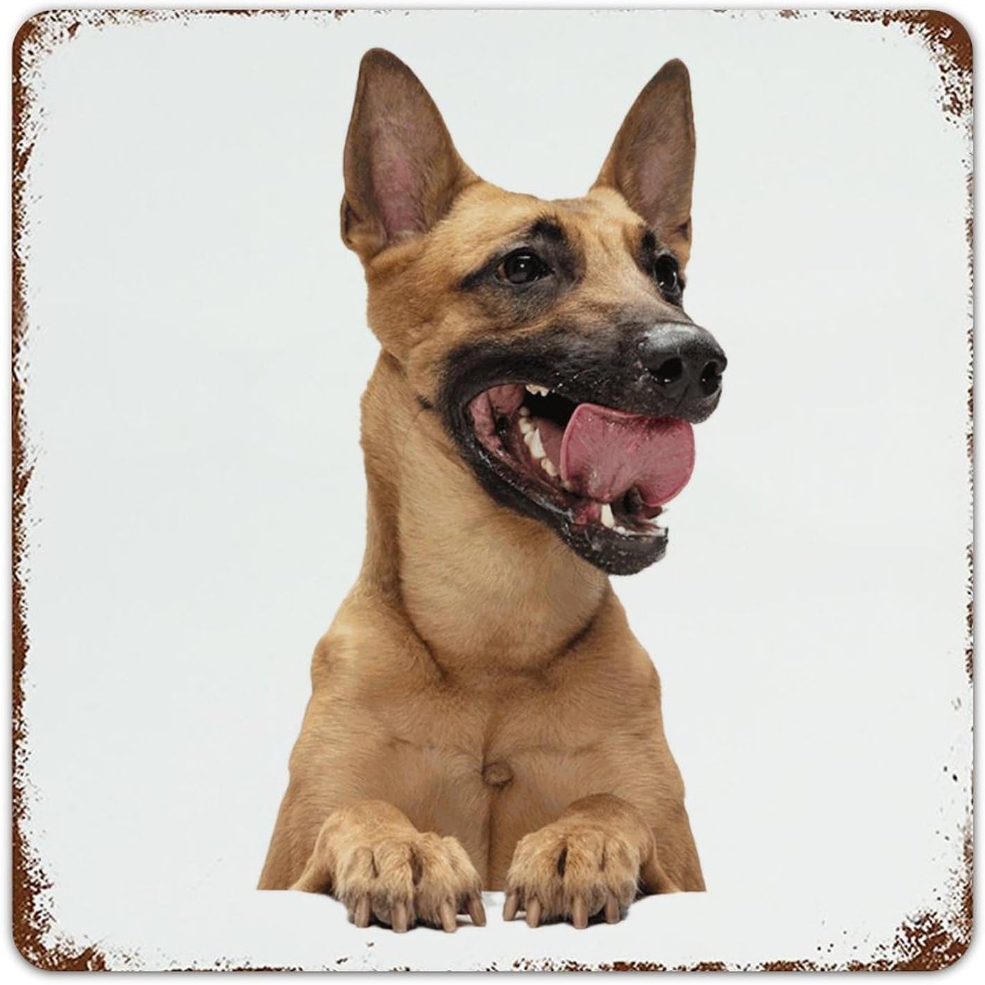 Farmhouse Metal Signs Outdoor French Bulldog Home Decor Garage Signs for Backyard Patio Living Room Abstract Pet Puppy Painting Art Poster Gift for Laundry 10x14 Inch