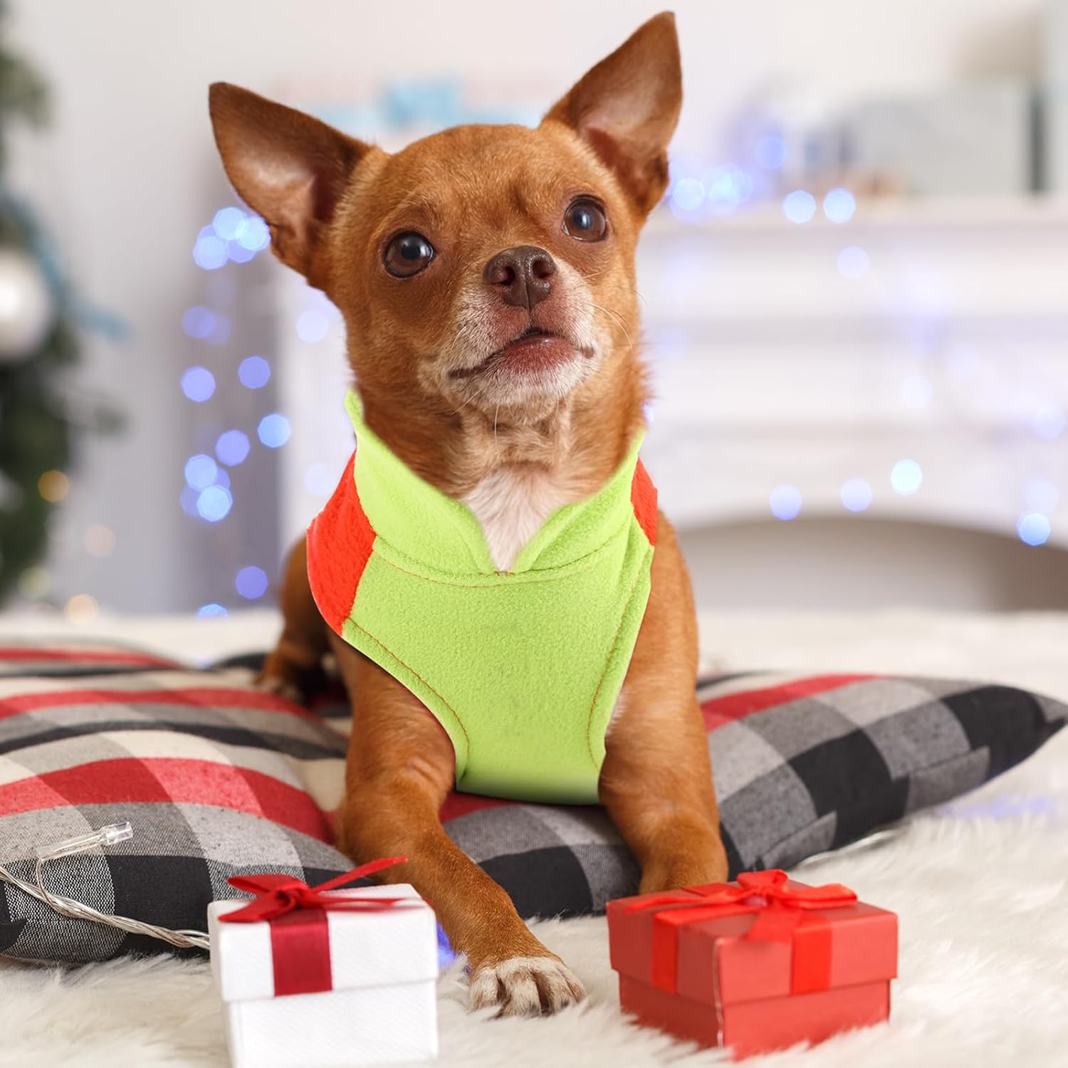 Reginary 10 Pack Small Dog Sweaters Fleece Pet Dog Clothes with Leash Ring Soft Warm Winter Puppy Plaid Shirt(Bright)