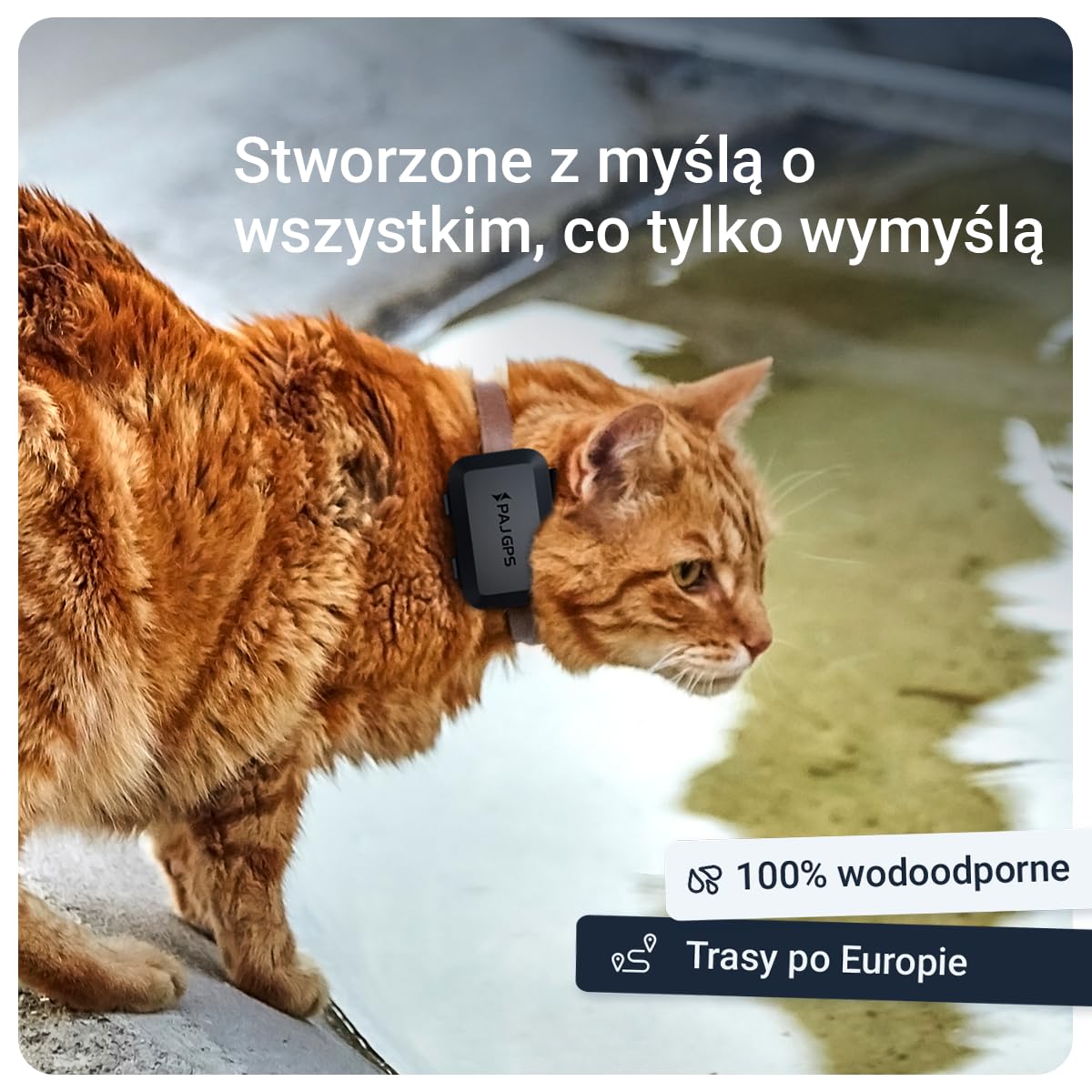 Lokalizator GPS PAJ Mini dla kotów z obrożą – śledzenie na żywo 4G, alarmy przed ucieczką + śledzenie na żywo w Europie – geofencing, 100% wodoodporność, pasuje do większości obroży i szelek – czarny