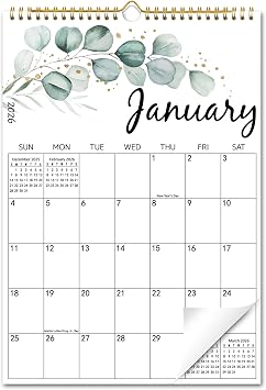 2026 Wall Calendar, 18 Months Calendar from January 2026 - June 2027, Aesthetic Greenery Large Hanging Calendar with Thick Paper, Perfect for Office Home Monthly Organizing & Planning, 10"14.5"