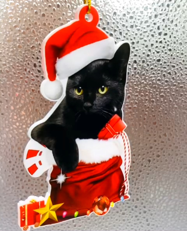 black cat ornament ୨୧* 黒猫さん クリップ （a） black cat