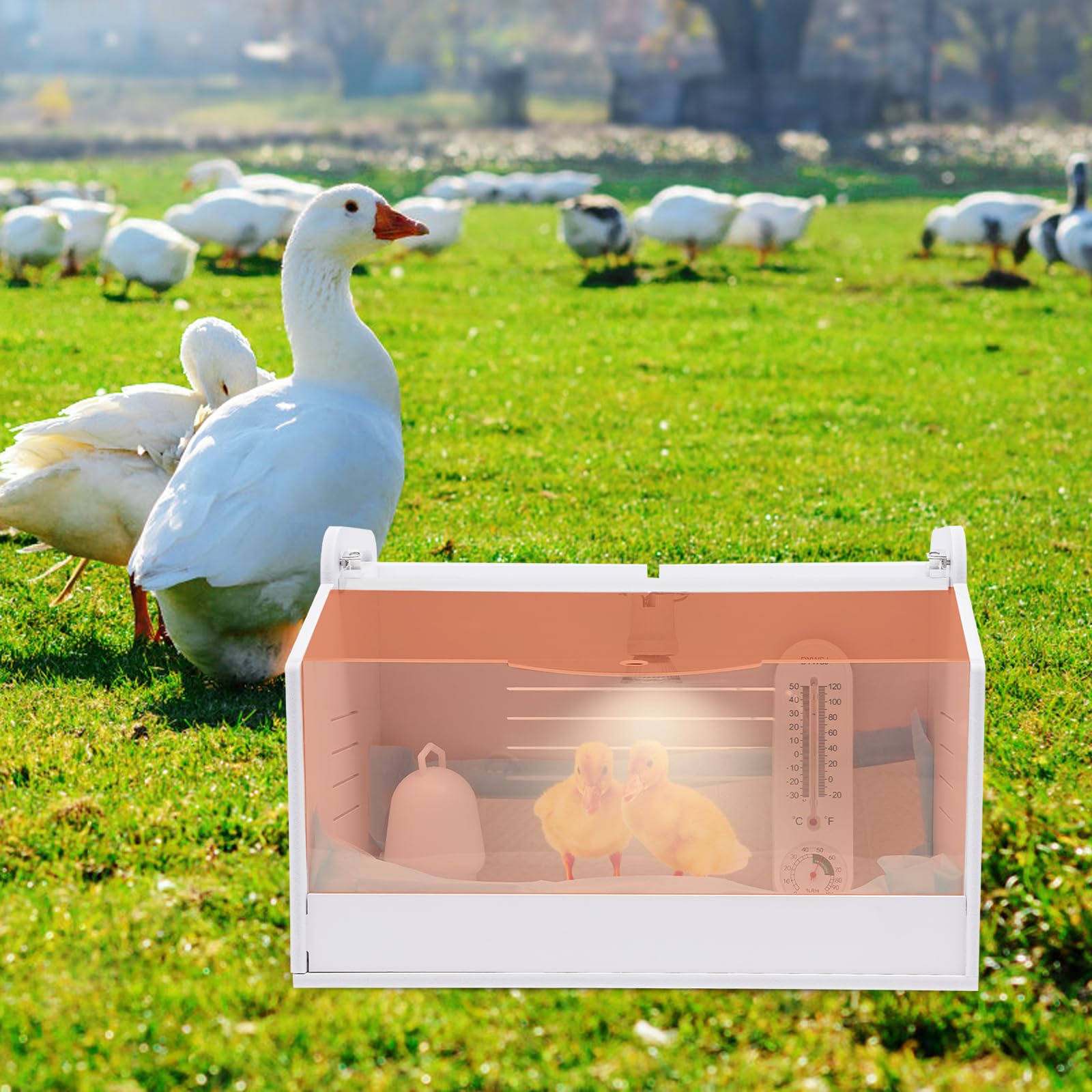 Incubadora profesional para 20 huevos, incubadora con lámpara solar y control de temperatura para polluelos, patitos, cachorros, gatitos, pájaros
