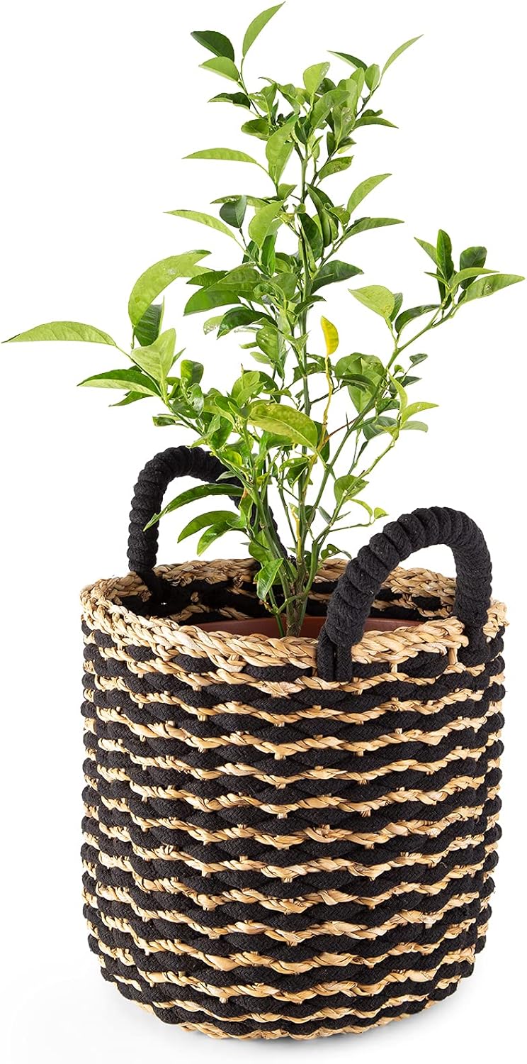 Compactor Flora Seagrass Storage Basket, Size Medium, Dia 25 x 25cm, Black/Brown, RAN10562