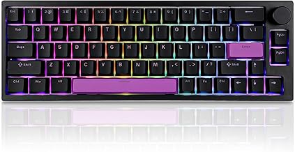 BOYI 66Pro Rapid Trigger Magnetic Switch Mechanical Keyboard,65% Hyper-Fast Actuation Point Adjustable Dedicated 8K Hz Polling Rate HotSwap RGB Wired Gaming Keyboard with Knob (Black)
