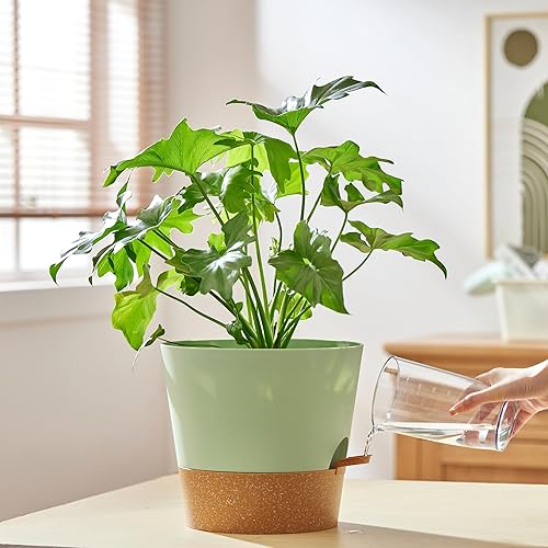 Miniatura 6 de FaithLand Paquete de 2 macetas de 8 pulgadas para plantas de interior y exterior, macetas de riego automático con depósito profundo, verde con
