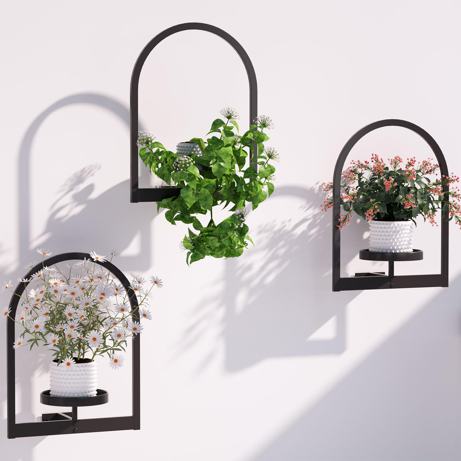 Flenpptly Wall Plant Holder, Wall Planter for Indoor Plants, 3 Pack Black