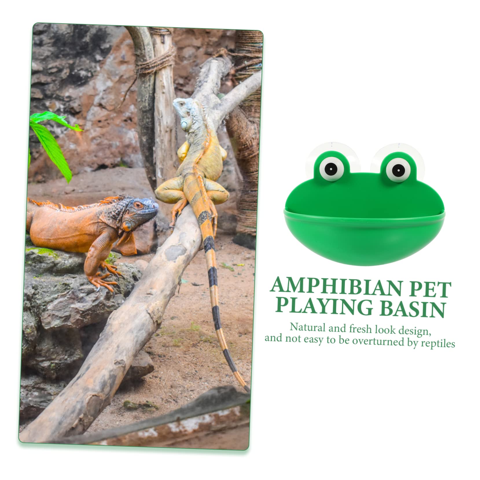 6stücke Reptilien Ruheplatz Und Spielbecken Für Terrarium Zubehör Für Frösche Und Geckos Naturnahe Gestaltung Für Haustiere