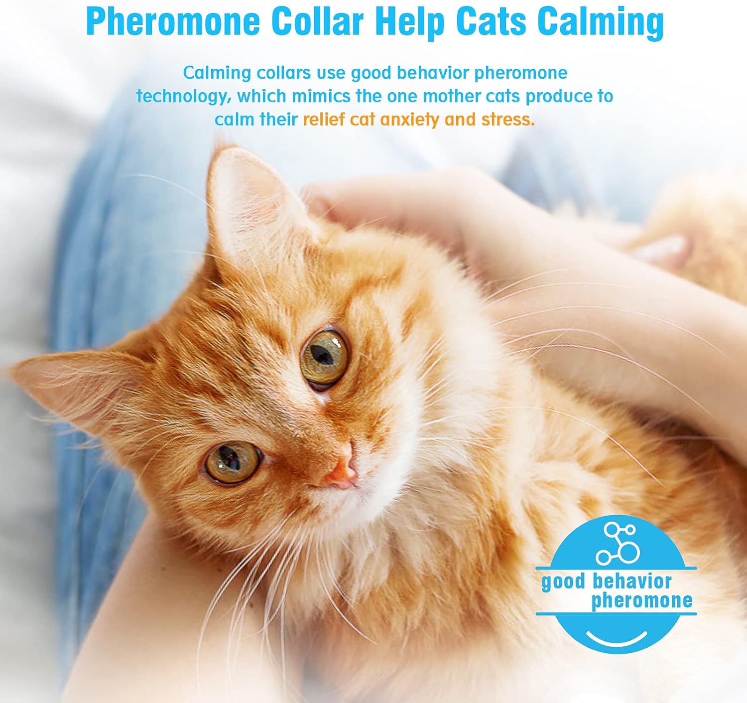 Kaspiu 3 Pack Calming Collar for Cats Pheromone Calm Anxiety Collar for Cats and Kittens Stress Reliever Relaxing Comfortable Collar Breakaway Design Gray : Pet Supplies