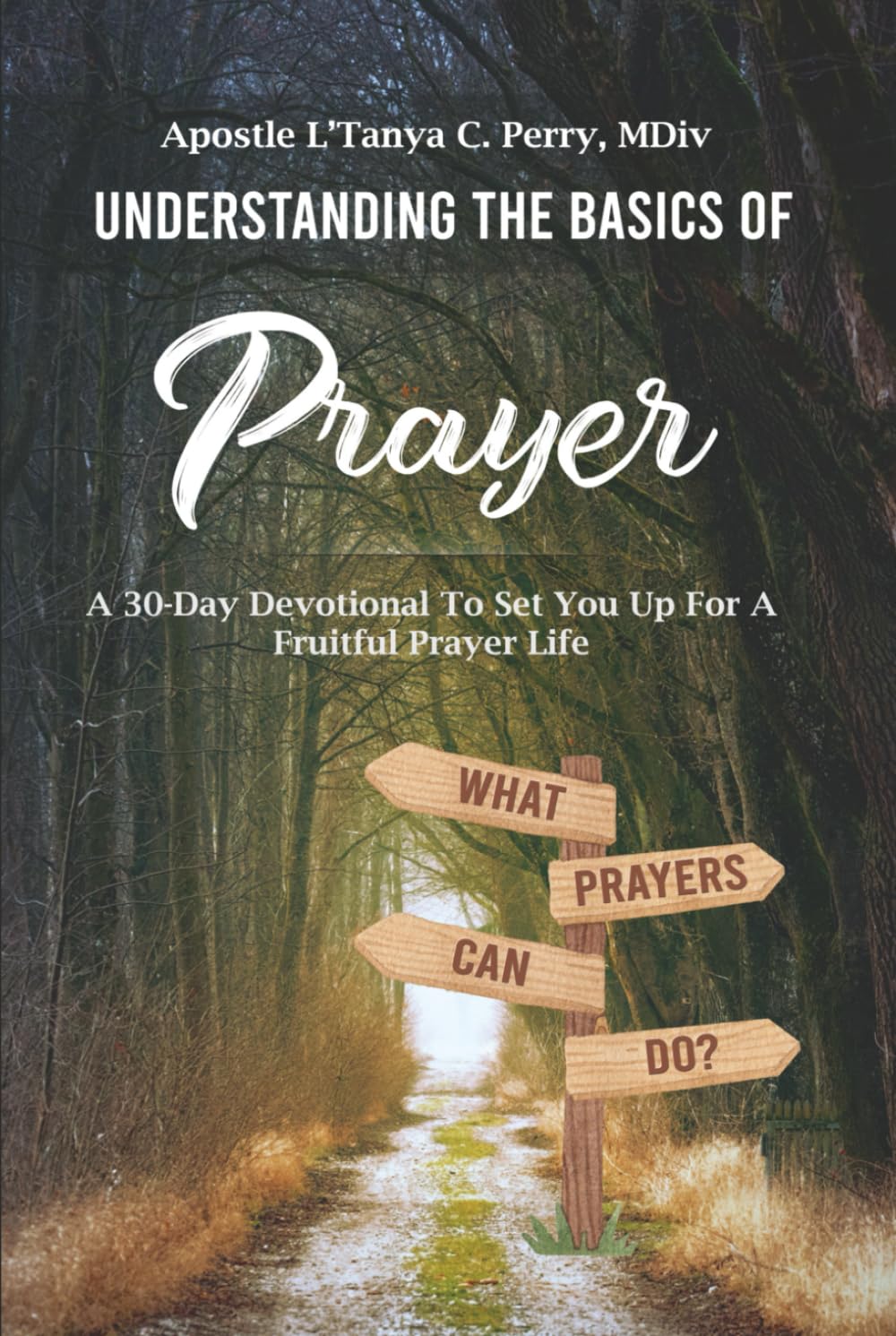 Understanding the Basics of Prayer: A 30-Day Devotional for a Fruitful Prayer Life (Faith, Purpose & Healing Collection)