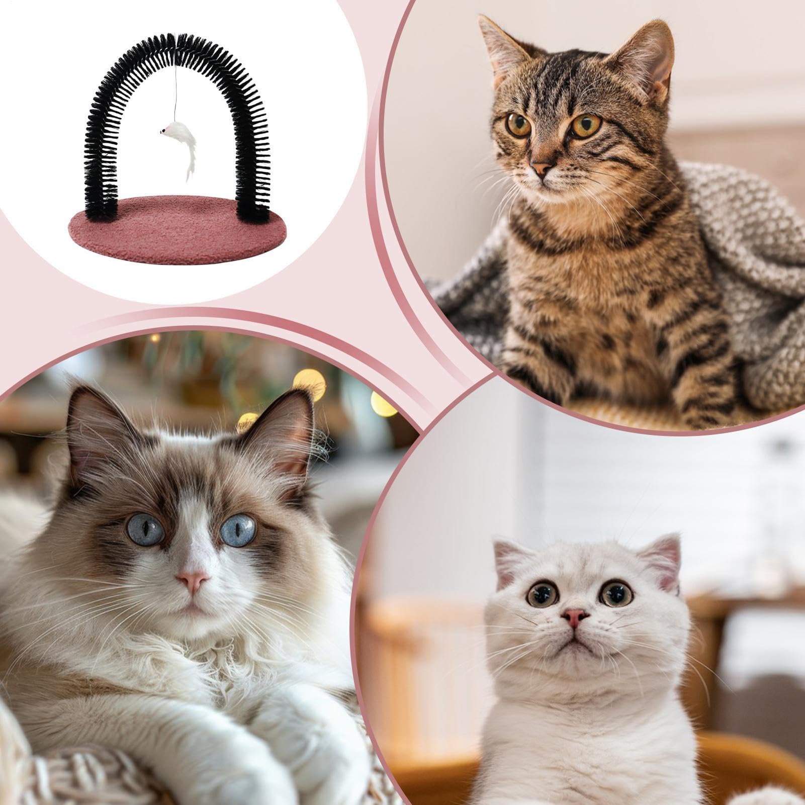 Cat Groomer, Arch Grooming Brush, 14.2x11.4x13.4inch, Shedding Massager Tool, Sturdy Bristles for Hair Removal, Self-Grooming Station, Ideal for Kittens, Cats, Rabbits, Home Use
