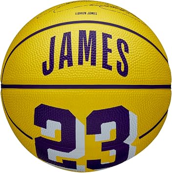 Wilson Basketball, NBA Player Icon Mini