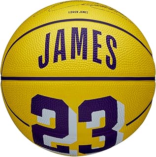 Wilson Basketball, NBA Player Icon Mini