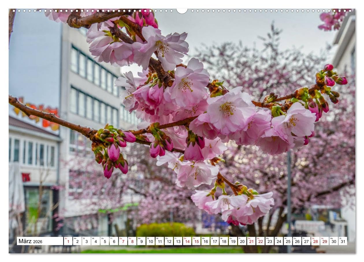 Kassel begeistert (hochwertiger Premium Wandkalender 2026 DIN A2 quer), Kunstdruck in Hochglanz: Kassel und seine schönen Ecken (CALVENDO Orte)