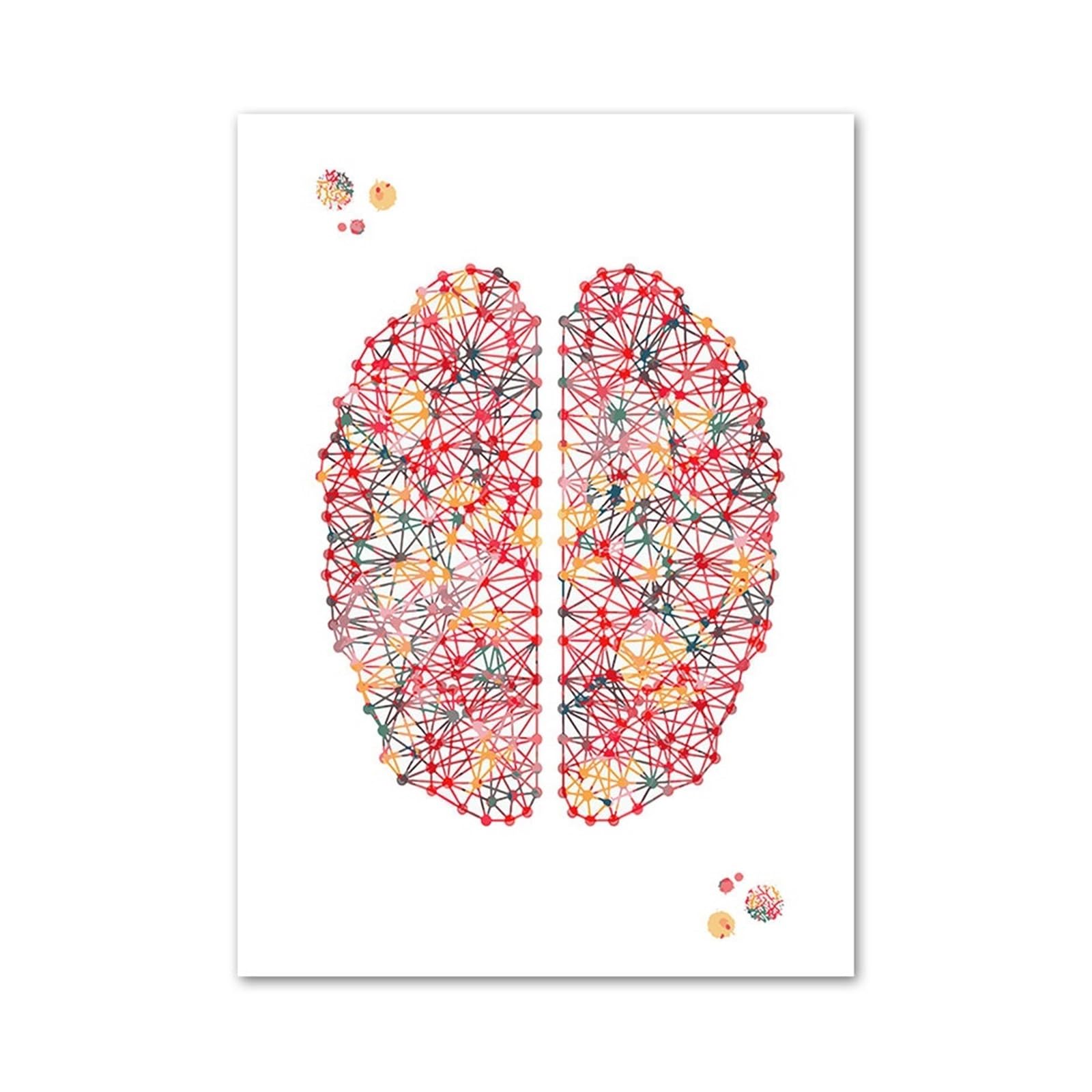 1pc Kolorowy Mózg Serce Wątroba Narządy Nerkowe Anatomia Obraz Ścienny Na Płótnie Plakaty I Druki Zdjęcia Lekarz Dekoracje Biurowe(4,30x40cm Canvas)
