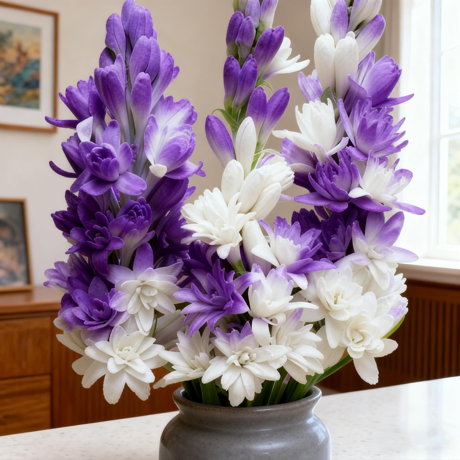 Premium Tuberose Bulbs, Stunning Large Blooms, Simple to Grow – Perfect for Indoor Decor, Gifts & Holiday Displays-15 Bulbs-G