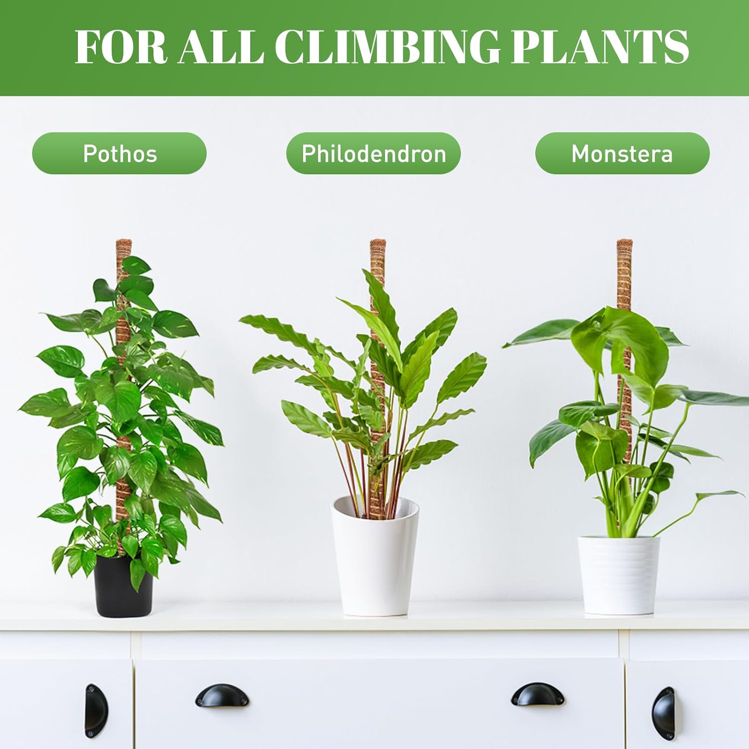TLAZZ 54 Inch Moss Pole, 3 Pack 16 Inch Moss Poles Monstera Plant Support, Moss Poles for Climbing Plants Indoor, Coir Plant Pole Sticks Support Stakes for Potted Plants, Pothos, Philodendron thumbnail