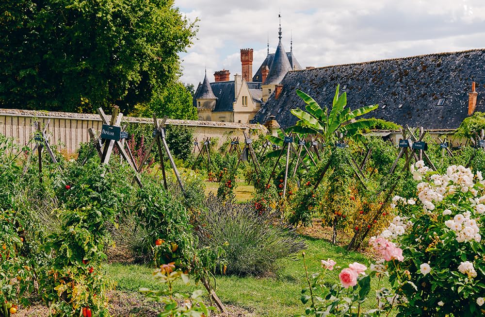 Le Conservatoire de la Tomate - Savoir-faire de La Bourdaisière · 50 variétés à cultiver