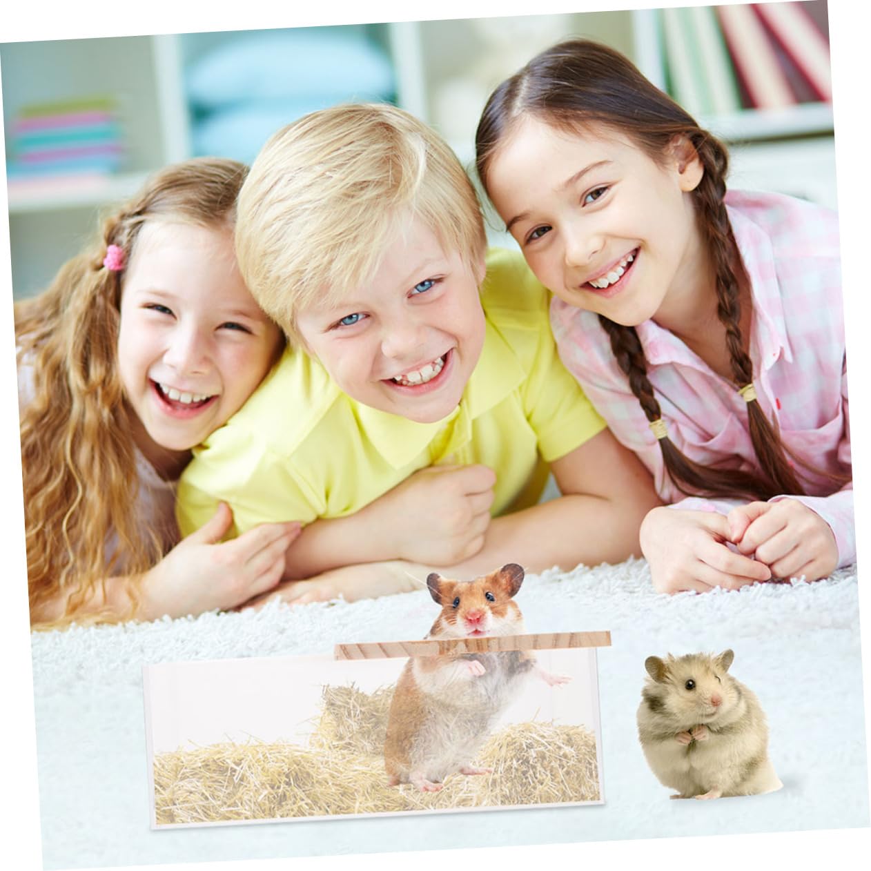 Acryl Badesandbecken für Hamster, 2 Stück, Glatt, Leicht