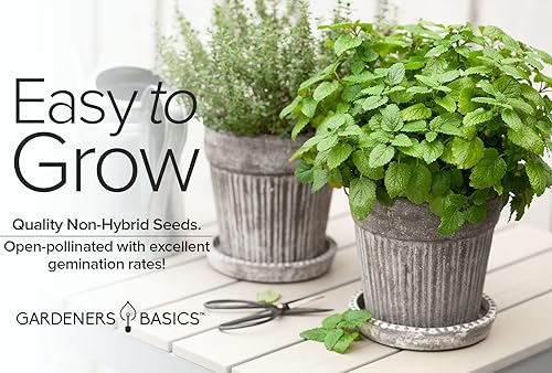 Miniatura 3 de Gardeners Basics Semillas de bálsamo de limón para plantar hierbas, (Melissa Officinalis) en interiores y exteriores, variedad de hierbas de