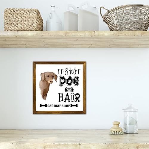 Vista 162 de Letrero de madera con texto en inglés «It's Not Dog Hair» («It's Not Dog Hair» American Bully Dog Dog), regalo decorativo para la pared del hogar