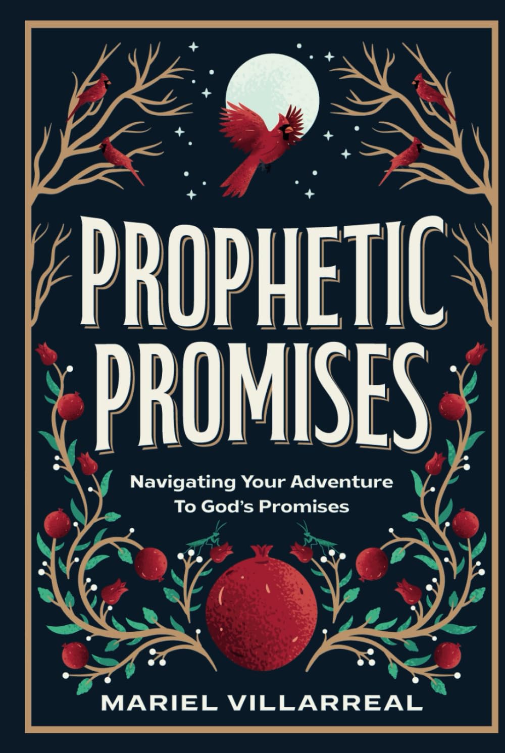 Prophetic Promises: Navigating Your Adventure to God's Promises