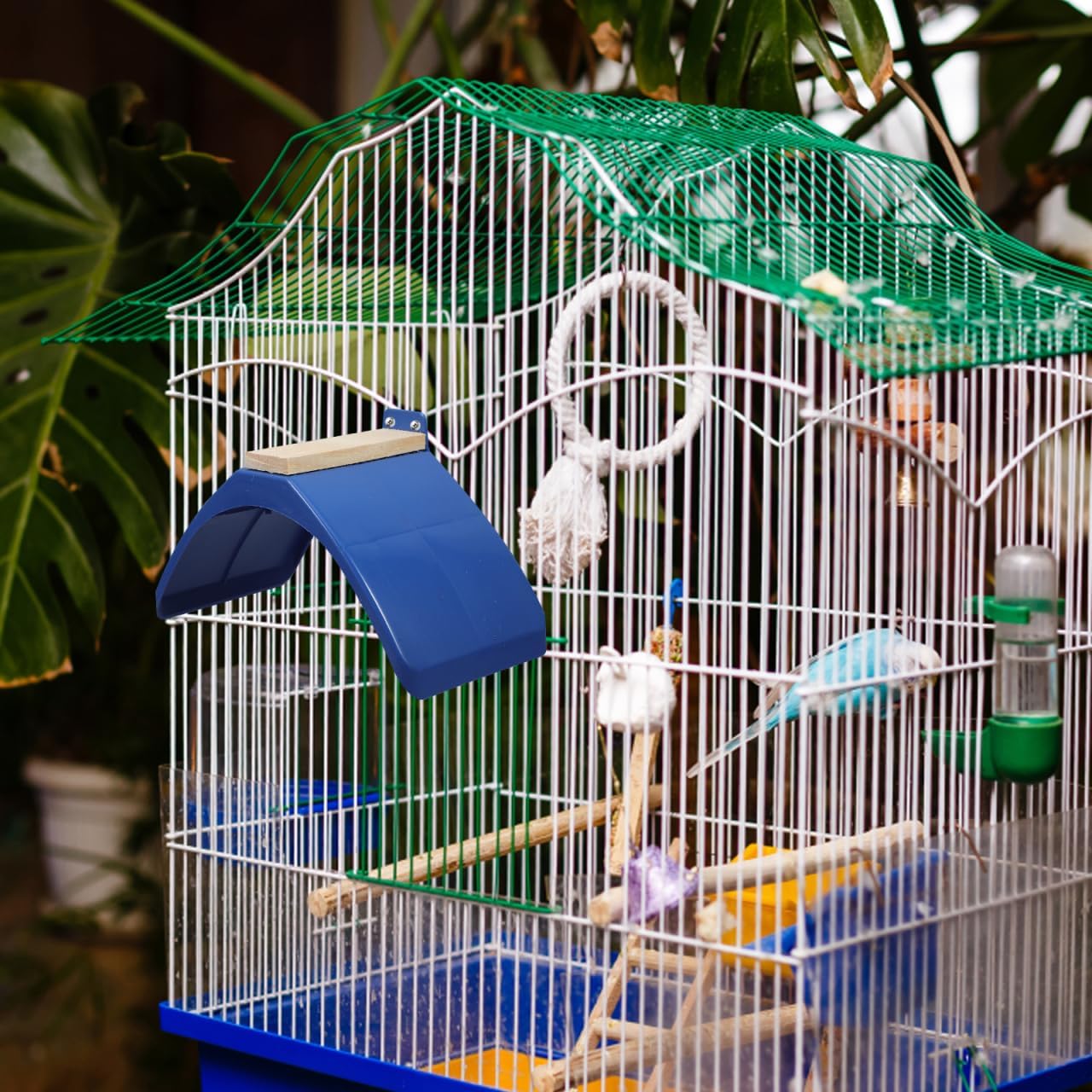 balacoo 10pcs Pigeon Perch Toy Safe Parrot Play Stand for Birds for and Hens Smooth Finish for Supplies for Bird Cages