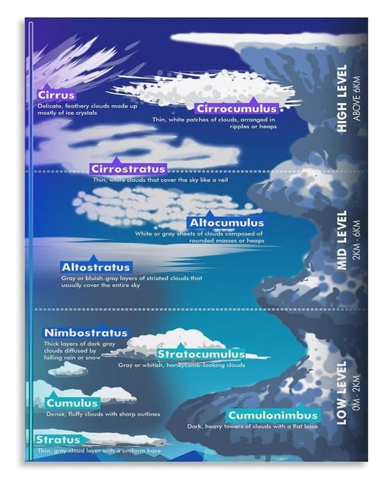 XGINERFEX Types of Clouds Poster Chart Cloud Identification Visual Science Classroom Homeschool Nature Wall-Art
