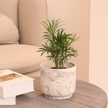 Ceramic Plant Pot 6 Inch Marble Planter Pots with Drainage Holes & Mesh Pads, Modern Plant Pot for Indoor Outdoor Plants-Cylinder Round Planter Pot