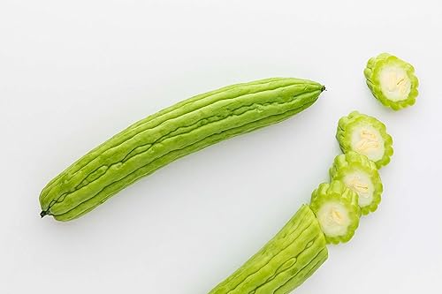 Miniatura 8 de Gaea's Blessing Semillas  Semillas de melón amargo  Semillas de calabaza amarga herencia de melón amargo sin OMG con instrucciones de siembra