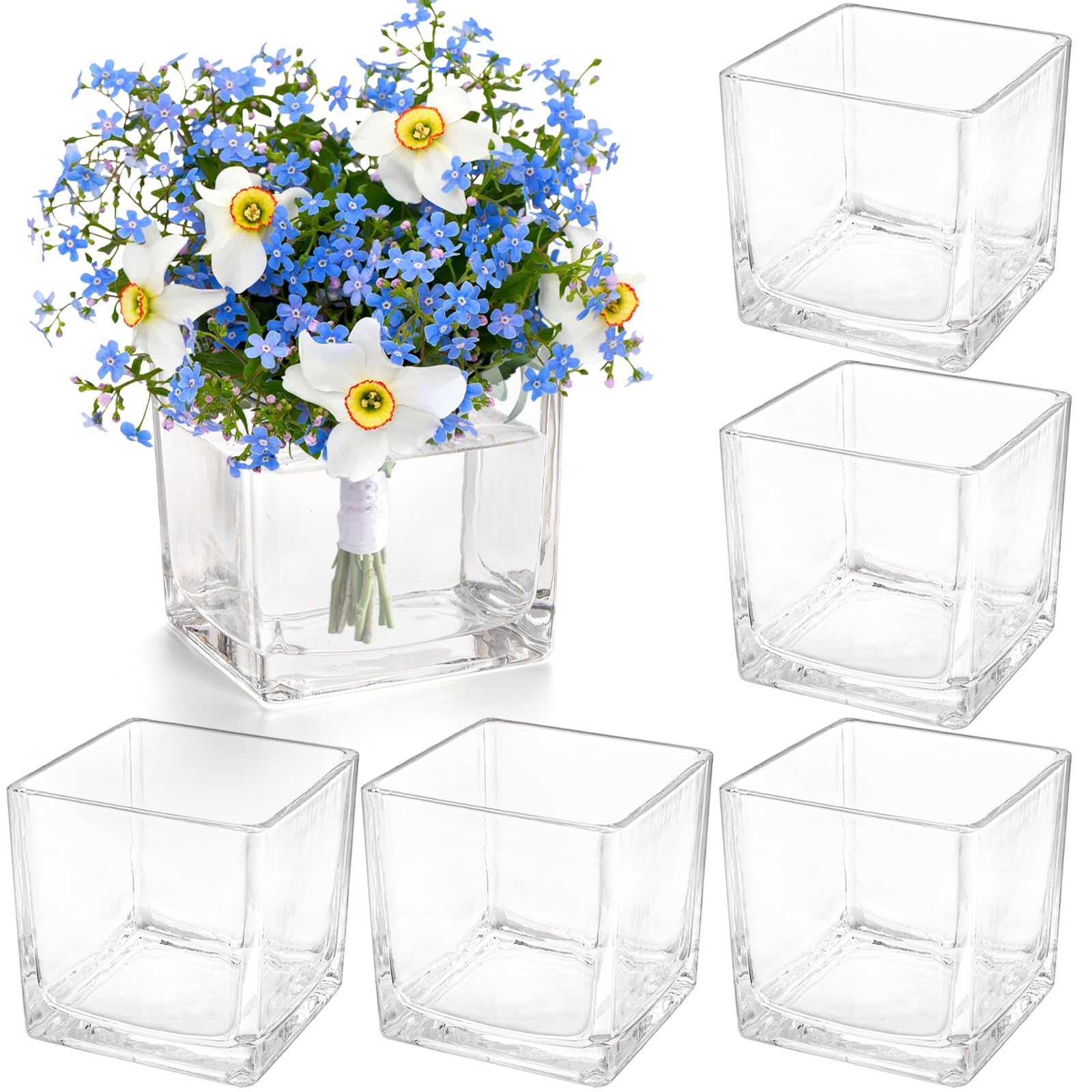 Juego De 6 Jarrones Cuadrados De Cristal 12.7 Cm Transparente Nombre