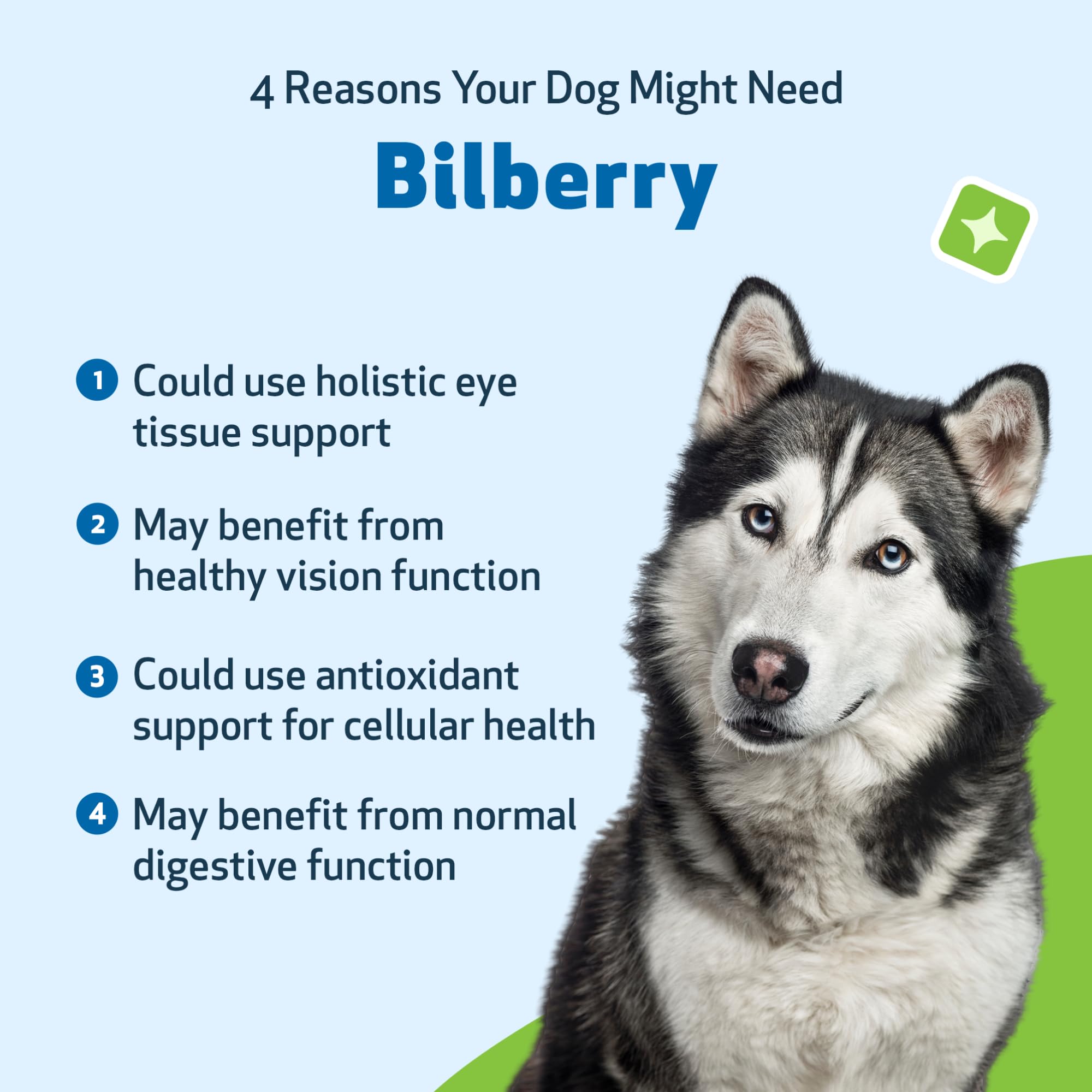 Pet Wellbeing Organic Bilberry for Dogs - Eye Health & Vision Support, 2 oz — Amazon image 9