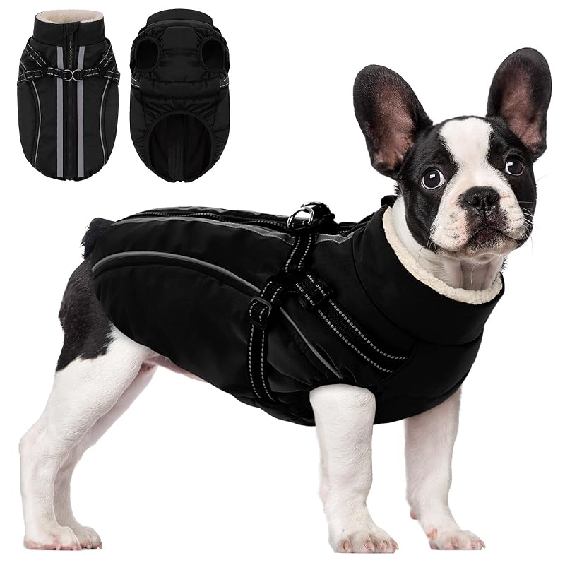 Casaco de inverno para cães com peitoral integrado KAMA BRIDAL Preto Grande