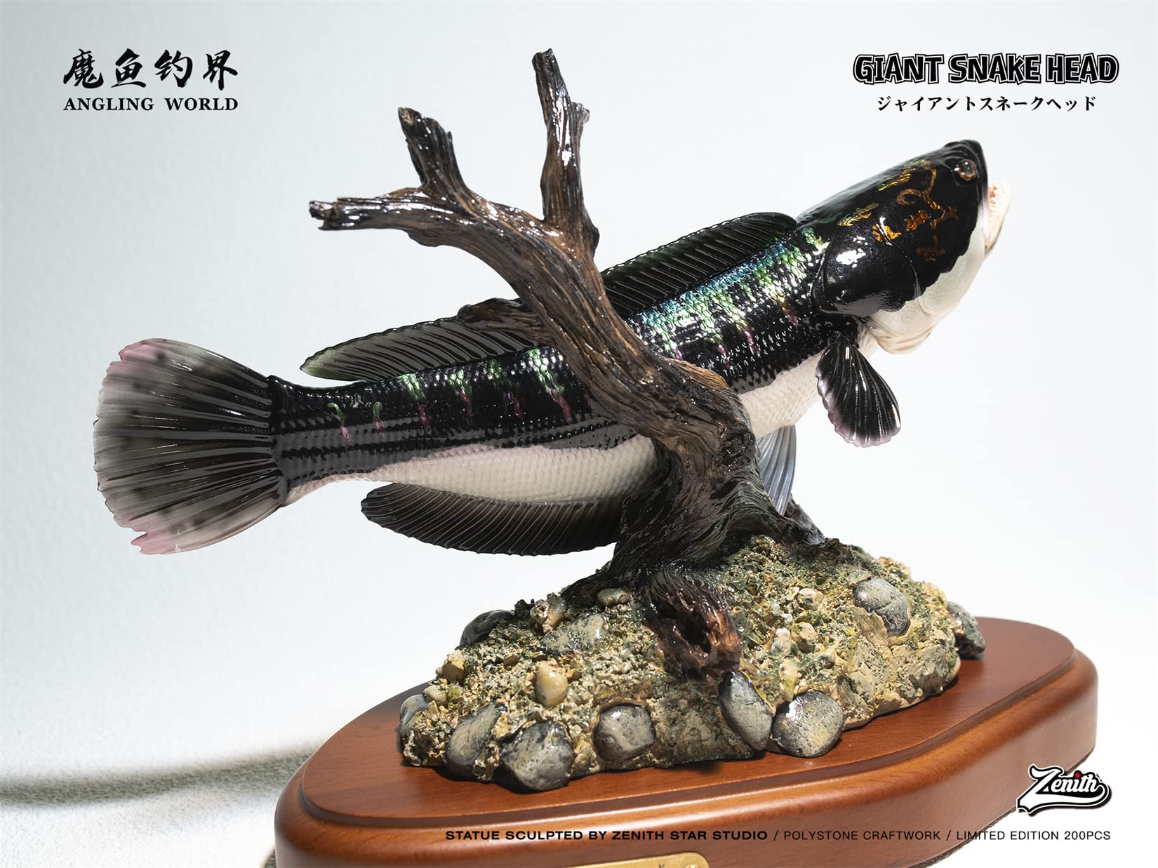 ジャンビ産 レッドスネークヘッド 約45cm→50cm