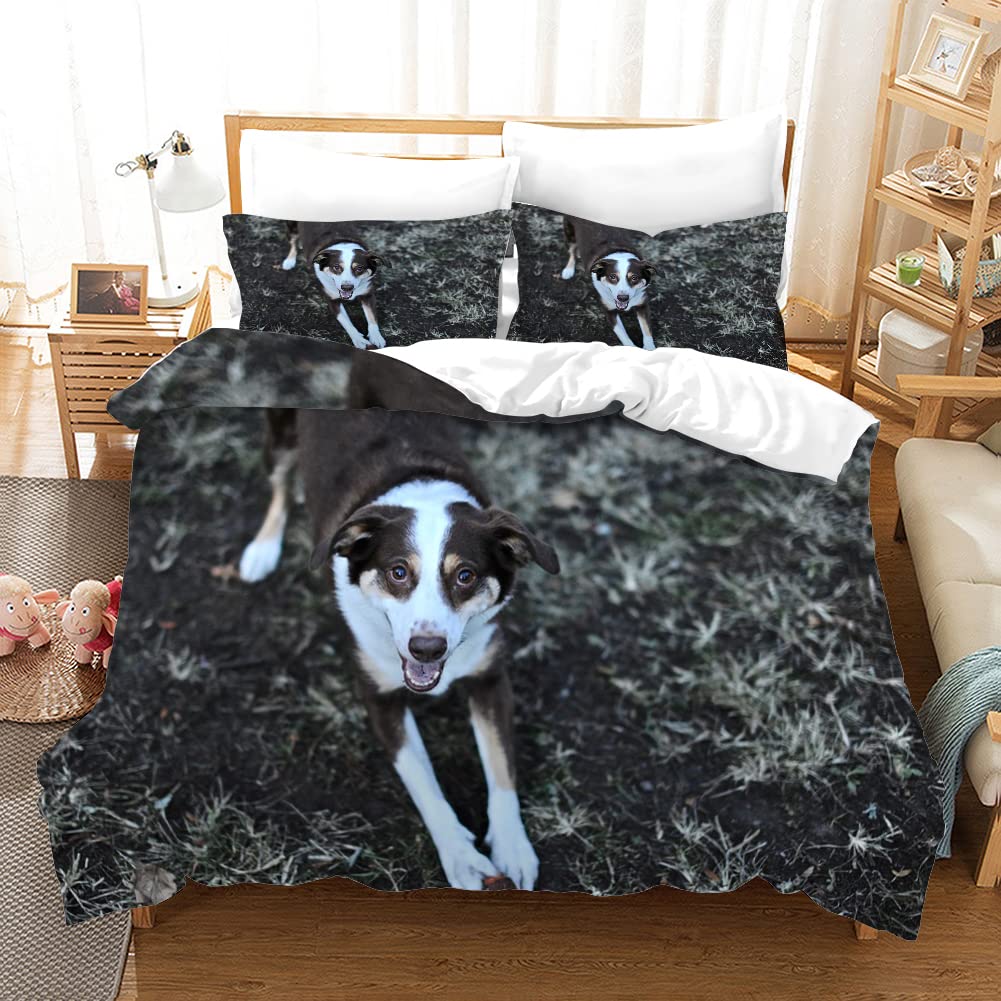 Amazon|布団カバー ダブル ブラックハウンド 寝具 羽毛布団カバーと2