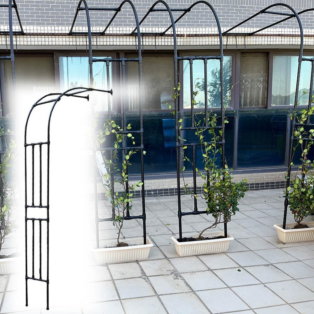 Pergola pour plante grimpante extérieure et support de croissance en métal 250x240cm
