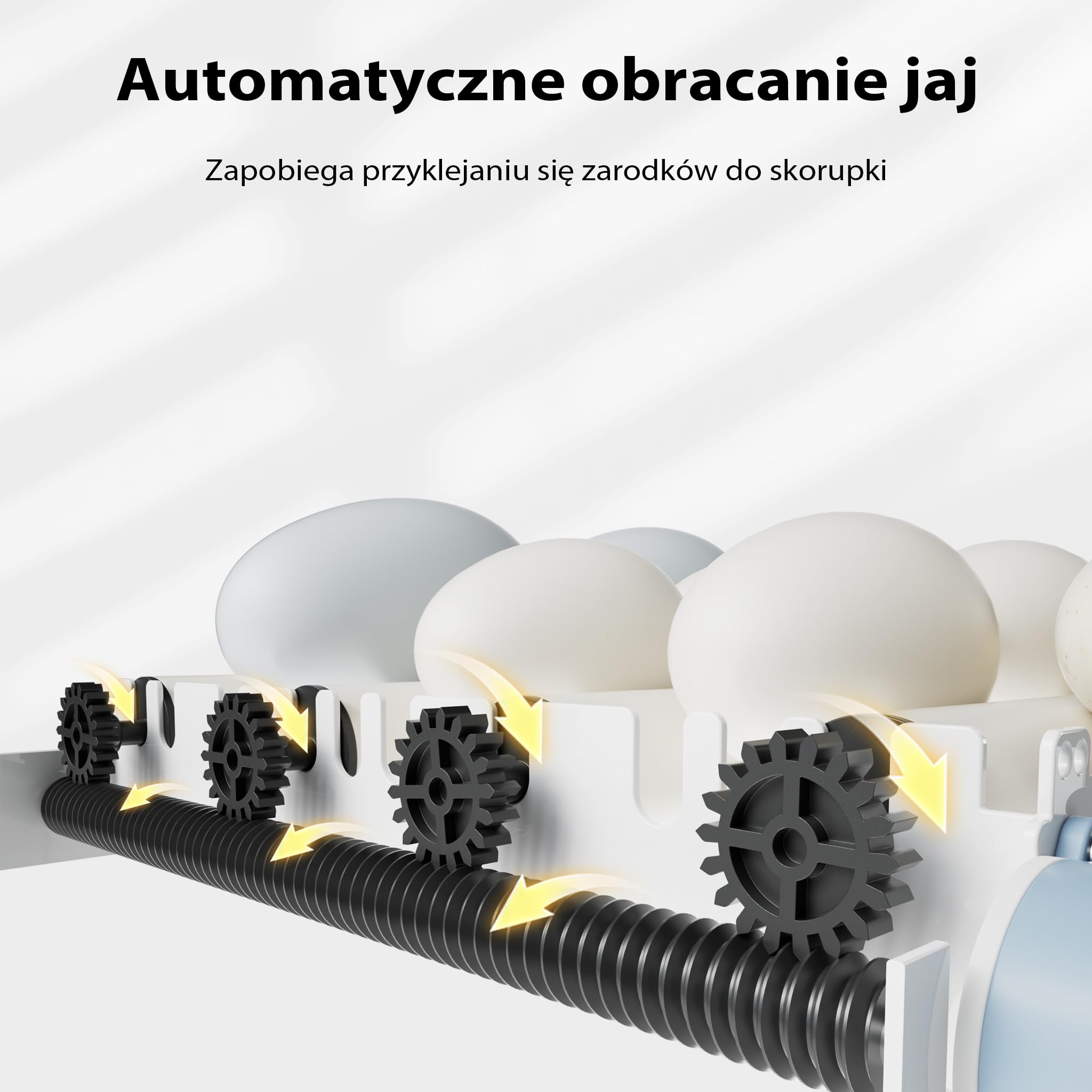 W pełni automatyczny inkubator powierzchniowy Fudajo na 24 jaja, inkubator 80 W z systemem obracania, inkubator z kontrolą temperatury i regulacją wilgotności, inkubator do jaj wylęgowych