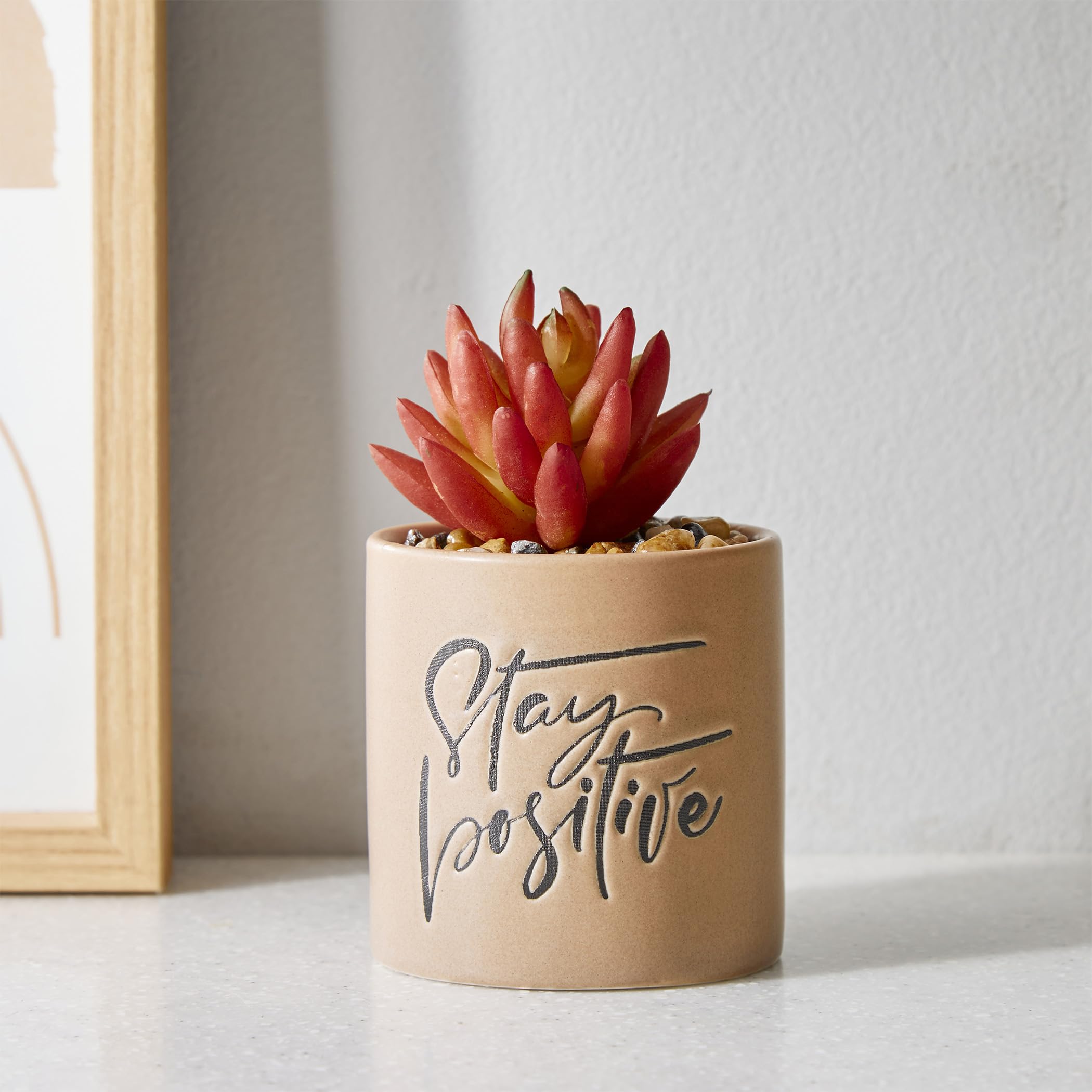 Home Centre Garnet Garden Artificial Succulent Quotes Planter