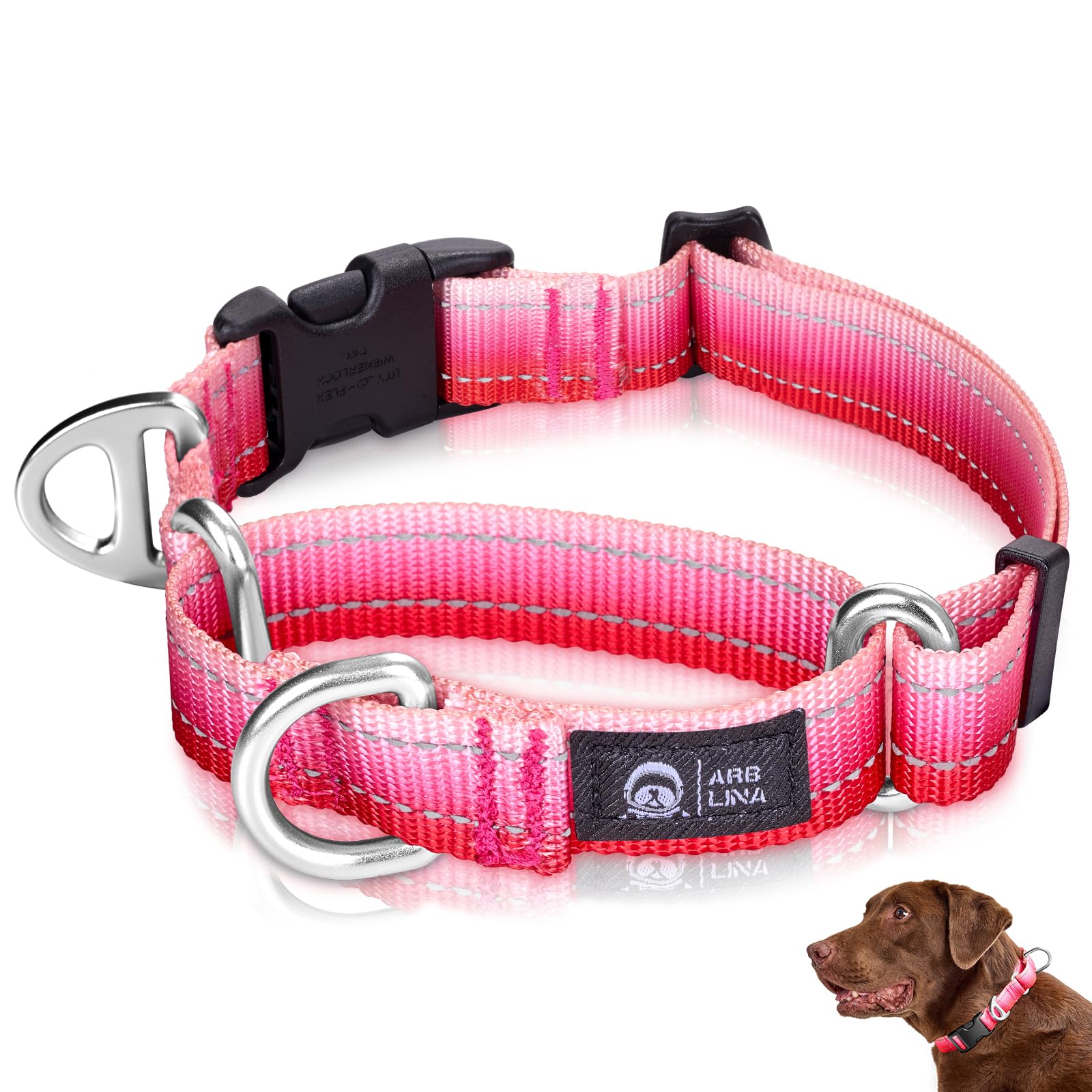 Arblina Martingale Dog Collar