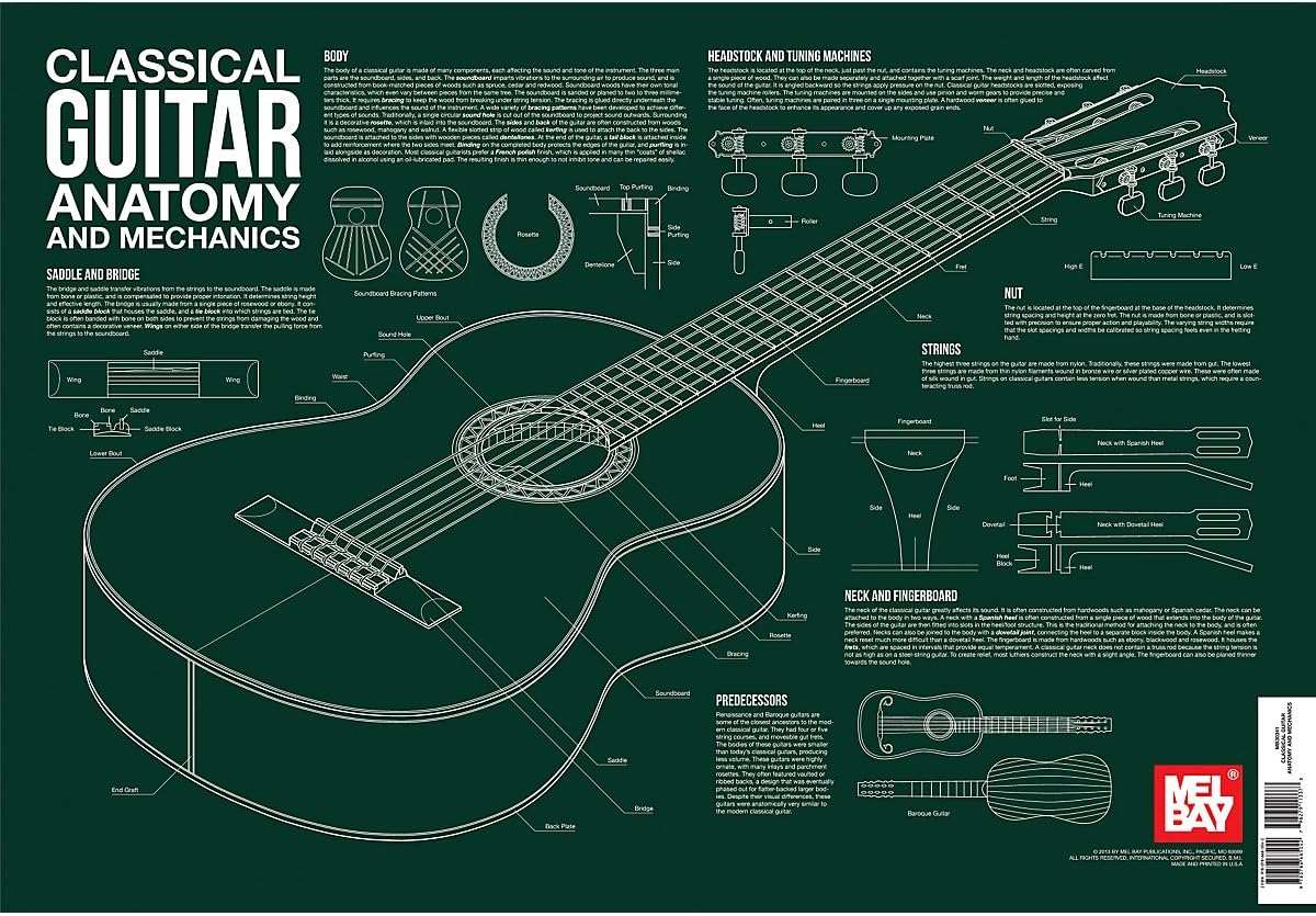Classical Guitar Anatomy and Mechanics Wall Chart