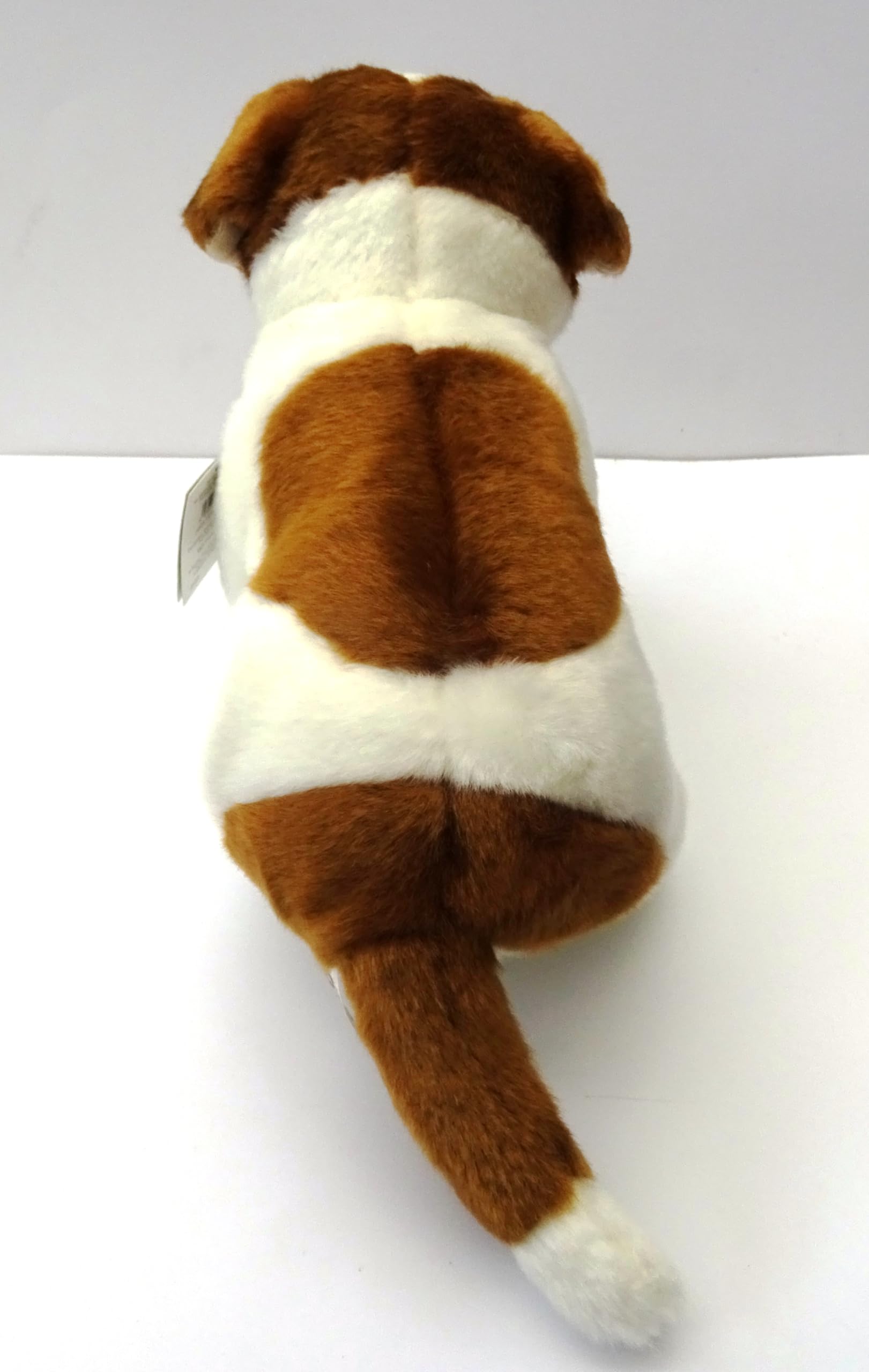 Amazon.com: Jack Russell 12