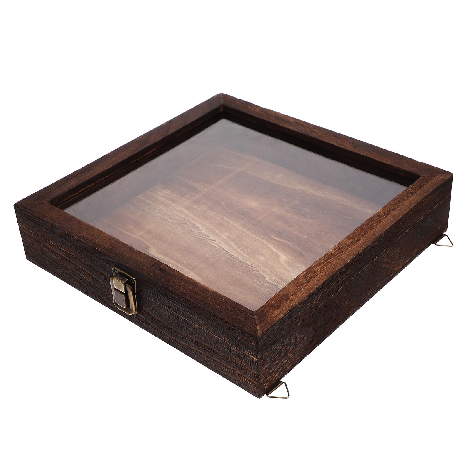 Beaupretty Caja de Exhibición de Insectos Tapa Estilo Retro, Multi-funcional y Compacta, Hecha de Acrílico y Madera Color Café para Decoración y Almacenamiento