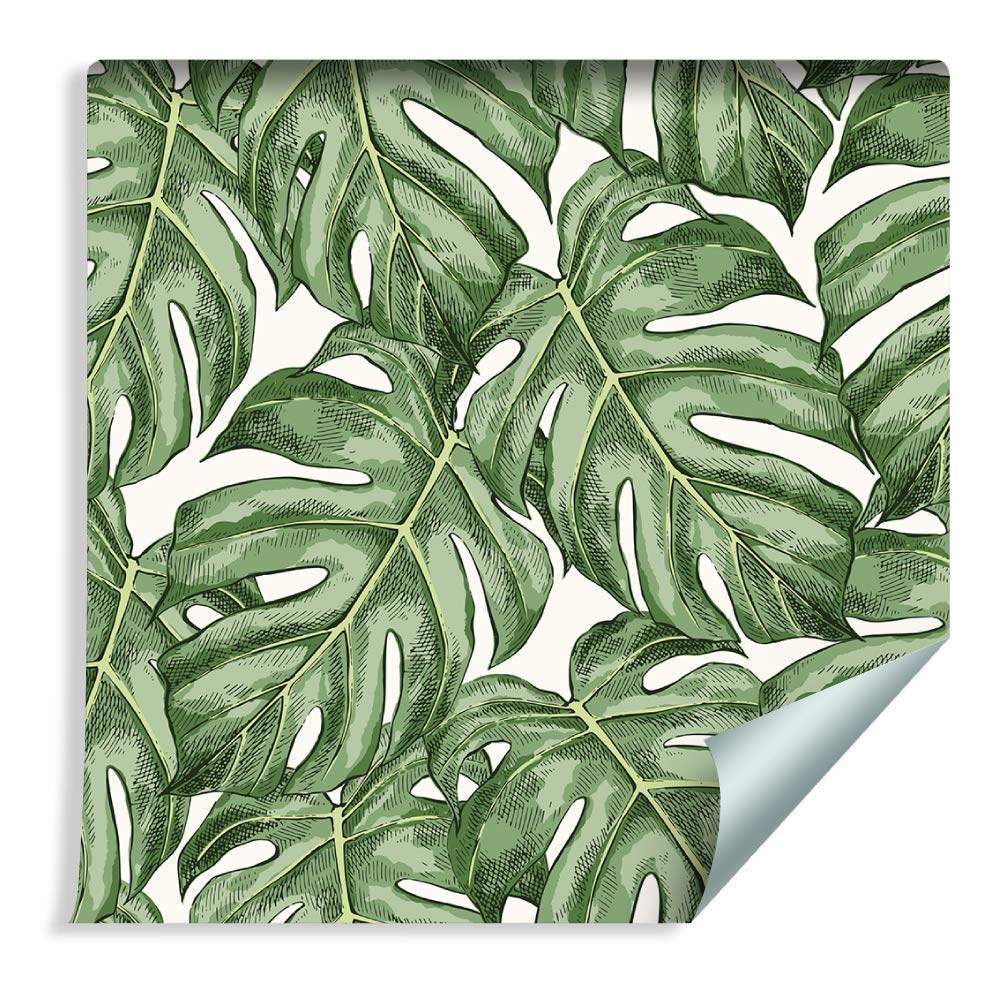 Muralo Selbstklebende Tapeten Rollen Monstera Blumen Bltter Natur Dicht  Wie Gemalt Aquarell 1000 x 50cm Wandtapete fr Wohnzimmer Schlafzimmer :  Amazon.de: Baumarkt
