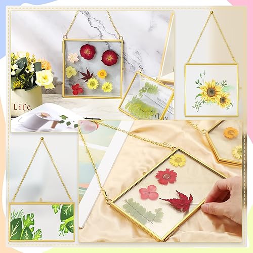 Miniatura 5 de 6 marcos de vidrio de latón para flores prensadas, marcos de fotos colgantes con cadena, marco de vidrio doble transparente, marco flotante dorado,