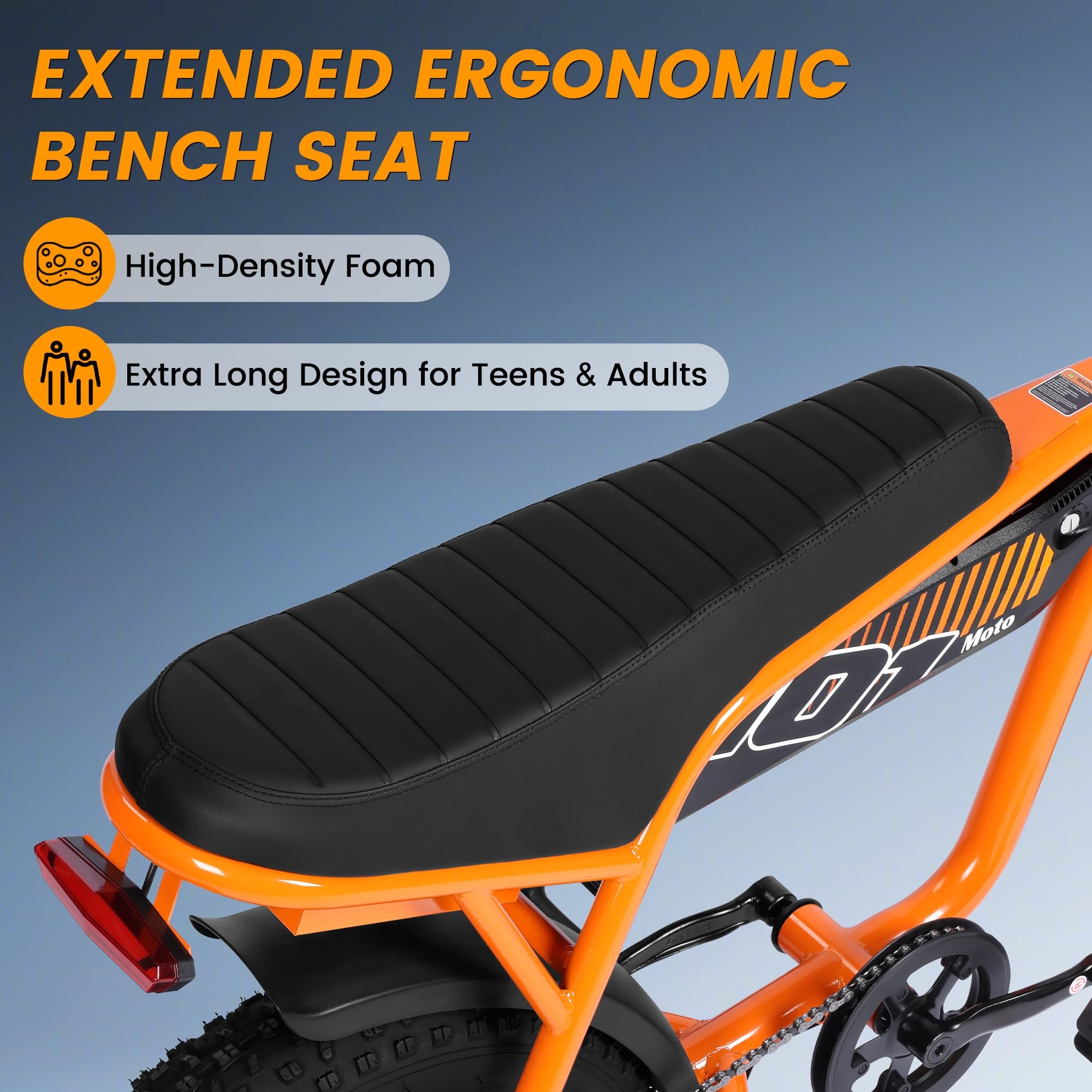 1500W Peak Electric Bike for Adultsn